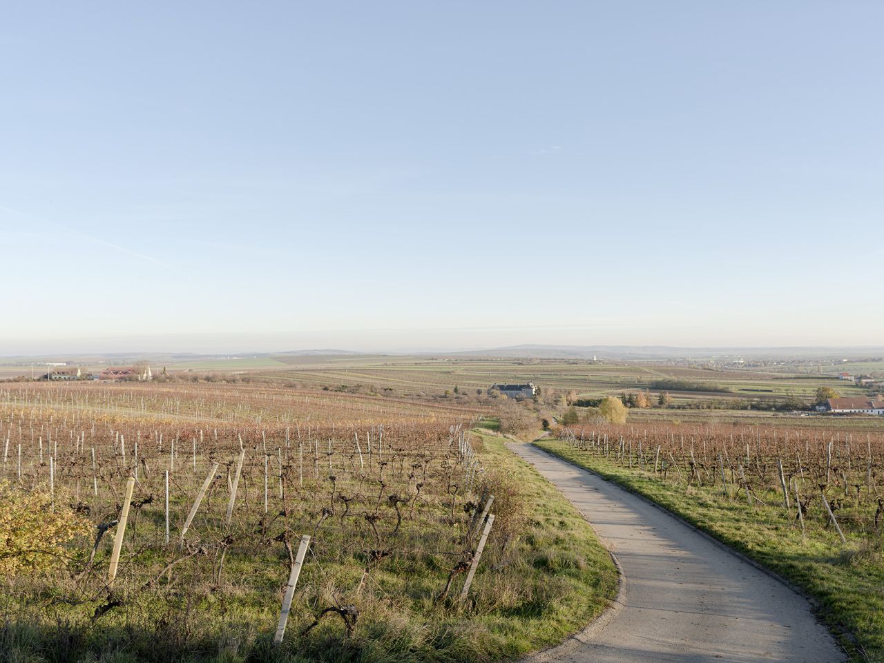 Themenweg "Spuren am Land", Blick übers Weinviertel bei Retz (© Matthias Klos, Bildrecht Wien)
